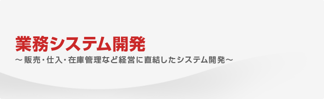 事業内容 業務システム開発