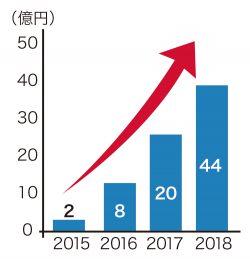 国内市場規模の拡大