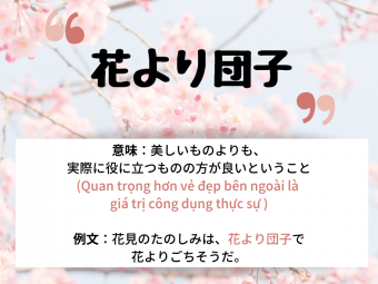 日本語のことわざ 花より団子 Nghĩa La Gi Xin Chao Shizuoka